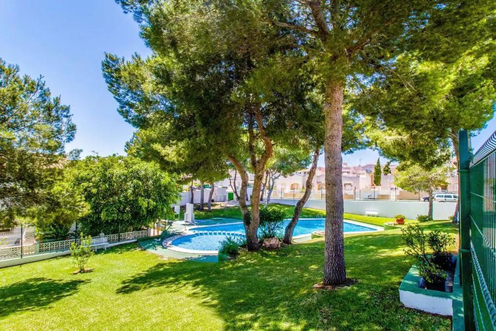 Apartament Casa Del Gato Rojo , Communal Swimming Pool , Terrace With Barbecue Torrevieja Buitenkant foto
